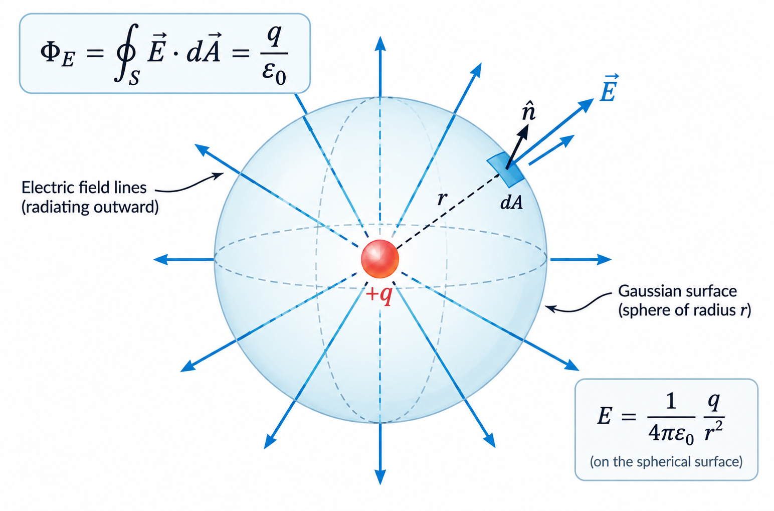 Gauss law: a point charge +q enclosed by a dashed spherical Gaussian surface with radial electric field lines crossing it